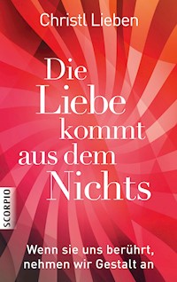 Die Liebe kommt aus dem Nichts - Christl Lieben - E-Book