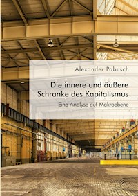 Die innere und äußere Schranke des Kapitalismus. Eine Analyse auf Makroebene - Alexander Pabusch - E-Book