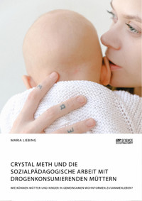 Crystal Meth und die sozialpädagogische Arbeit mit drogenkonsumierenden Müttern. Wie können Mütter und Kinder in gemeinsamen Wohnformen zusammenleben? - Maria Liebing - E-Book