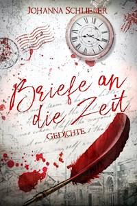 Briefe an die Zeit - Johanna Schließer - E-Book