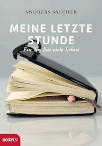 Meine letzte Stunde - Andreas Salcher - E-Book