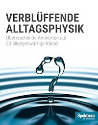 Spektrum Spezial - Verblüffende Alltagsphysik - Spektrum der Wissenschaft - E-Book