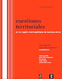 Cuestiones territoriales - Sonia Vidal-Koppmann - E-Book