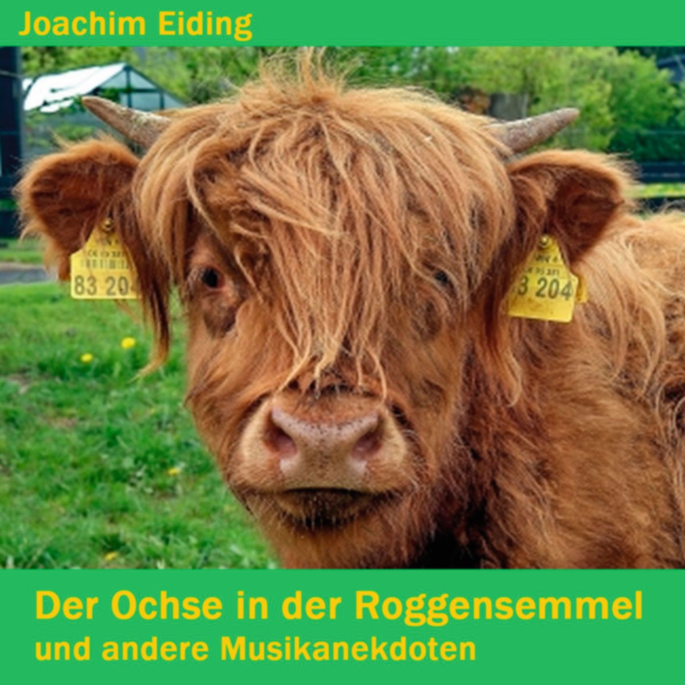 Der Ochse in der Roggensemmel - Joachim Eiding - E-Book