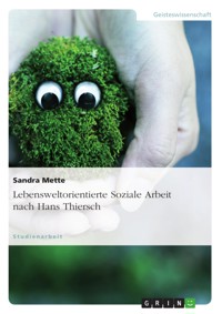 Lebensweltorientierte Soziale Arbeit nach Hans Thiersch - Sandra Mette - E-Book