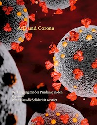 AfD und Corona - Wilfried Rabe - E-Book