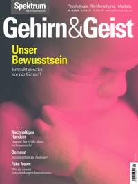 Gehirn&Geist 6/2025 Unser Bewusstsein -  - E-Book