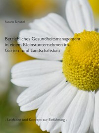 Betriebliches Gesundheitsmanagement in einem Kleinstunternehmen im Garten- und Landschaftsbau - Susann Schubel - E-Book