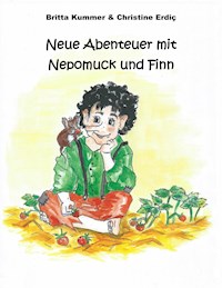 Neue Abenteuer mit Nepomuck und Finn - Britta Kummer - E-Book