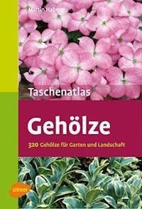 Gehölze - Martin Haberer - E-Book