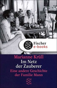 Im Netz der Zauberer - Marianne Krüll - E-Book