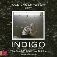 Indigo (Ungekürzt) - Clemens J. Setz - Hörbuch