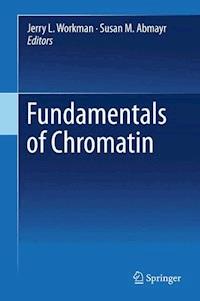 Fundamentals of Chromatin -  - E-Book