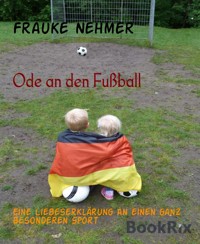 Ode an den Fußball - Frauke Nehmer - E-Book