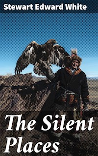 The Silent Places - Stewart Edward White - E-Book