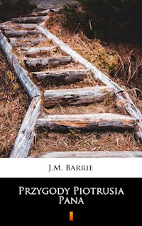 Przygody Piotrusia Pana - J.M. Barrie - E-Book