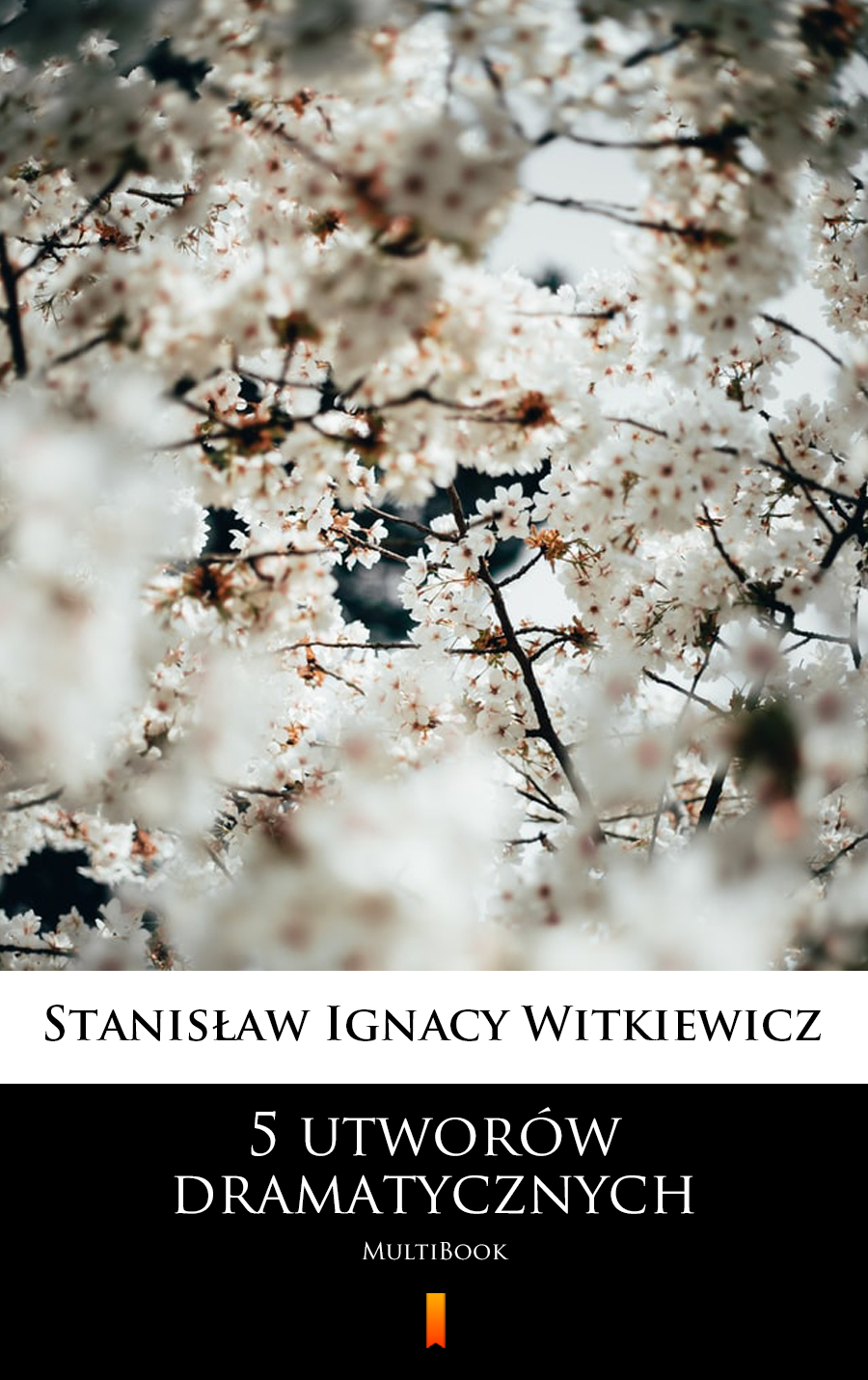 5 utworów dramatycznych - Stanisław Ignacy Witkiewicz - E-Book
