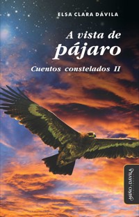 A vista de pájaro - Elsa Clara Dávila - E-Book