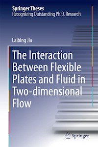 The Interaction Between Flexible Plates and Fluid in Two-dimensional Flow - Laibing Jia - E-Book