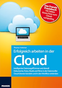Erfolgreich arbeiten in der Cloud - Thomas Schirmer - E-Book