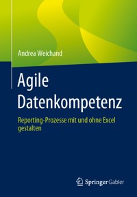Agile Datenkompetenz - Andrea Weichand - E-Book