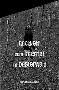 Rückkehr zum Internat im Düsterwald - Marco Schönbach - E-Book