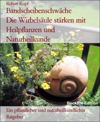 Bandscheibenschwäche          Die Wirbelsäule stärken mit Heilpflanzen und Naturheilkunde - Robert Kopf - E-Book