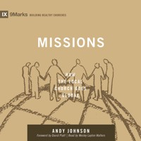 Missions - Andy Johnson - Hörbuch