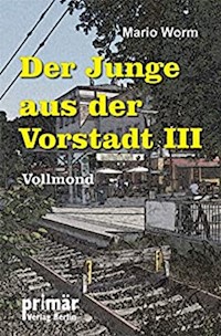 Der Junge aus der Vorstadt III - Mario Worm - E-Book