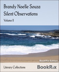 Silent Observations - Brandy Noelle Souza - E-Book