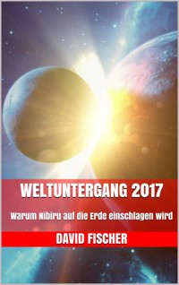 Weltuntergang 2017 - David Fischer - E-Book