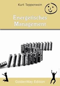 Energetisches Management - Kurt Tepperwein - E-Book