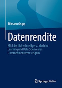 Datenrendite - Tillmann Grupp - E-Book