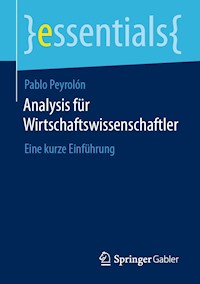 Analysis für Wirtschaftswissenschaftler - Pablo Peyrolón - E-Book