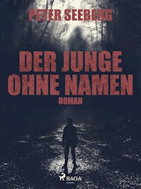 Der Junge ohne Namen - Peter Seeberg - E-Book