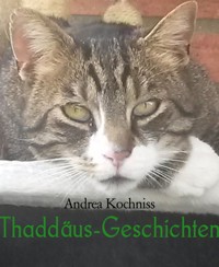 Thaddäus-Geschichten - Andrea Kochniss - kostenlos E-Book