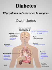 Diabetes - Owen Jones - E-Book