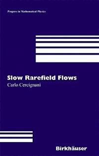 Slow Rarefied Flows - Carlo Cercignani - E-Book