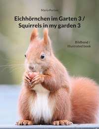 Eichhörnchen im Garten 3 / Squirrels in my garden 3 - Mario Porten - E-Book