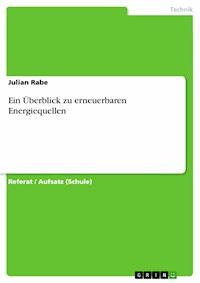 Ein Überblick zu erneuerbaren Energiequellen - Julian Rabe - E-Book