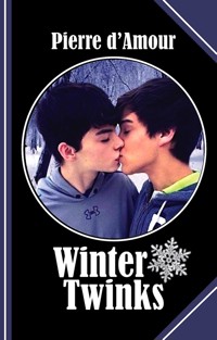 Winter Twinks - Pierre d&apos, Amour - E-Book