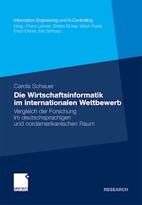 Die Wirtschaftsinformatik im internationalen Wettbewerb - Carola Schauer - E-Book