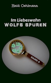 Im Liebeswahn - Heidi Oehlmann - E-Book