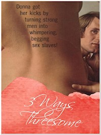 3 Ways Threesome - George Willson - E-Book