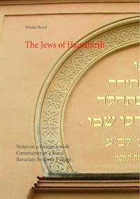 The Jews of Hainsfarth - Yehuda Shenef - E-Book