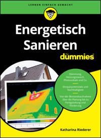 Energetisch Sanieren für Dummies - Katharina Riederer - E-Book