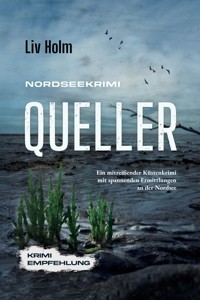 Nordseekrimi Queller: Ein mitreißender Küstenkrimi mit spannenden Ermittlungen an der Nordsee - Krimi Empfehlung - Liv Holm - E-Book + Hörbuch