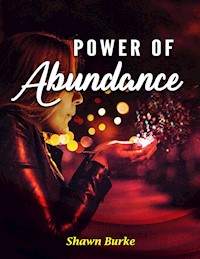 Power of Abundance - Shawn Burke - E-Book