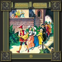 Grimms Märchen, Folge 20: Die goldene Gans / Doktor Allwissend / Der Königssohn, der sich vor nichts fürchtet (ungekürzt) - Brüder Grimm - Hörbuch