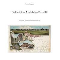 Delbrücker Ansichten Band III - Thomas Bongartz - E-Book